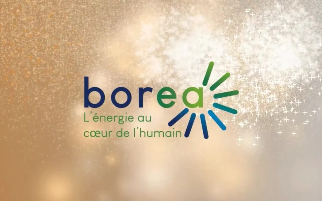 Toute l’équipe borea vous souhaite une excellente année 2024 !