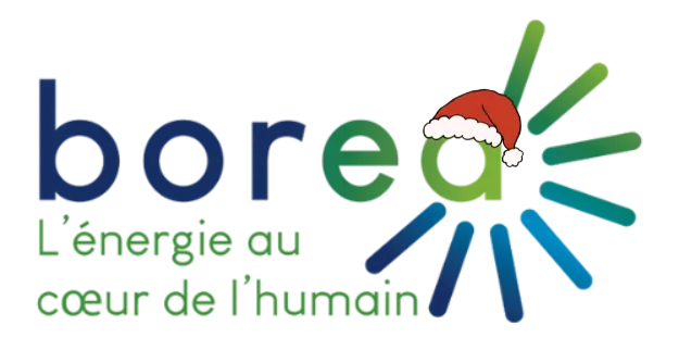 Logo borea octobre rose